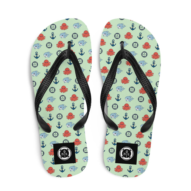 Flip-Flops Main Image