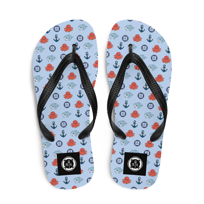 Flip-Flops Main Image
